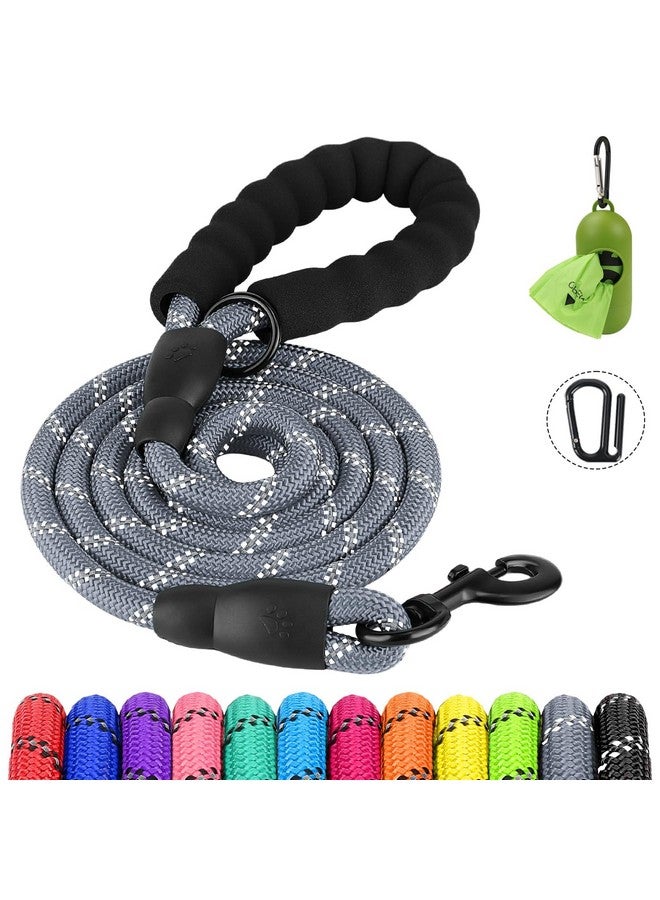 Joytale Joytale Reflective Dog Leash, Heavy Duty Nylon Rope with Poop Bag Holder, Highly Reflective Threads Leashes for Medium Large Dogs, 6'×1/2''  - Image 1