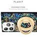 Flaunt MagSafe Phone Ring Holder Stand Removable MagSafe Phone Holder for Hand Durable Lightweight Stylish Magnetic Grip Ring for iPhone 17 Pro Max16 Pro Max151413Pixel 10 Gold - Image 2