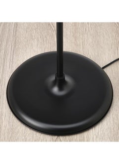 زبون مصباح أرضي، أنثراسايت  - Image 4