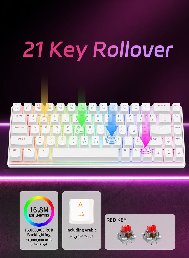 UCHUANG 68-Key English Arabic Mechanical Keyboard, Red Switch Hybrid Light Compact Mini Wired Keyboard for PC, Mac E-sports Portable Gaming Keyboard - White - Image 3