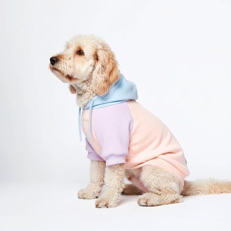 Spark Paws Dog Hoodie, Premium Quality, Velvety Soft, Superior Comfort and Fit, Soothing Fleece Lining, Suitable for All Breeds, Pastel Cotton Candy, Medium - Image 1