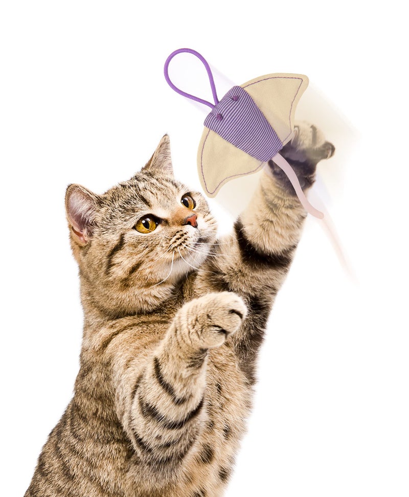 Petlinks Ray Flyer Stingray Launcher Catnip Cat Toy - Purple, One Size - Image 3