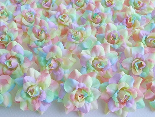 ICRAFY (50) Silk Rainbow Pastel Tones Roses Flower Head - 1.75" - Artificial Flowers Heads Fabric Floral Supplies Wholesale Lot for Wedding Flowers Accessories Make Bridal Hair Clips Headbands Dress - Image 1