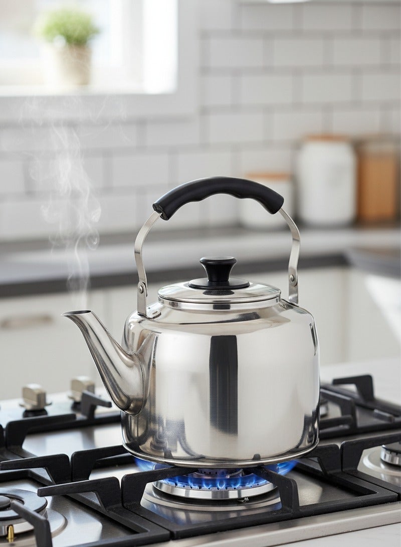 ZEBRA Stainless Steel Whistling Kettle – 4.0Ltr – Heat-Resistant Plastic Handle - Image 3