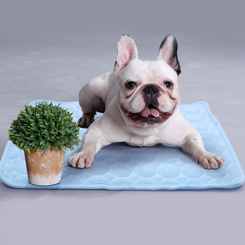 Pet Cooling Blanket Breathable Dogs Cats Sleeping Mat 63 x 50cm - Image 2