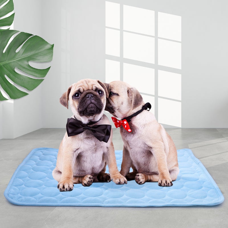 Pet Cooling Blanket Breathable Dogs Cats Sleeping Mat 63 x 50cm - Image 1