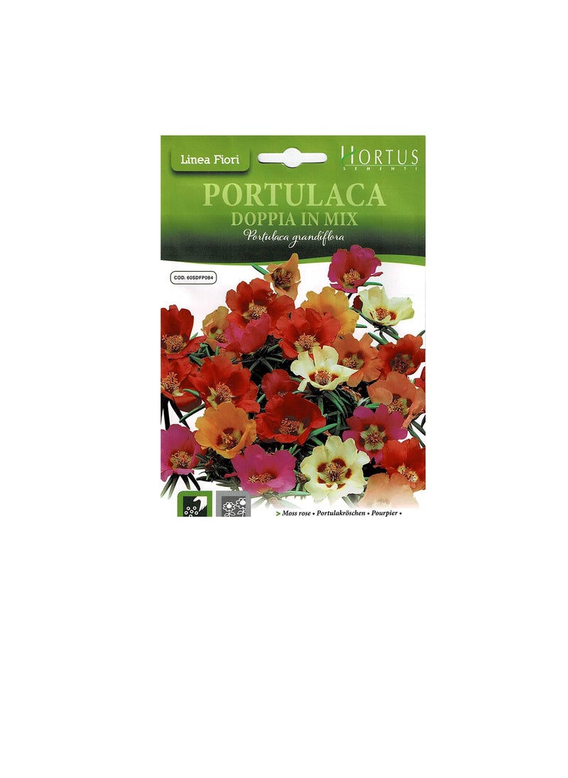 Generic Moss Rose Mix Seeds  - Image 1