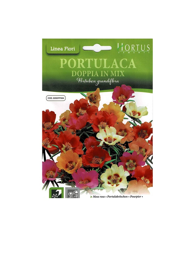 Generic Moss Rose Mix Seeds  - Image 2