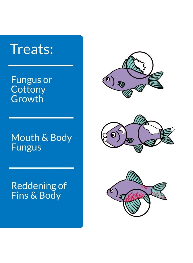 API Pimafix, 16 OZ - Image 2