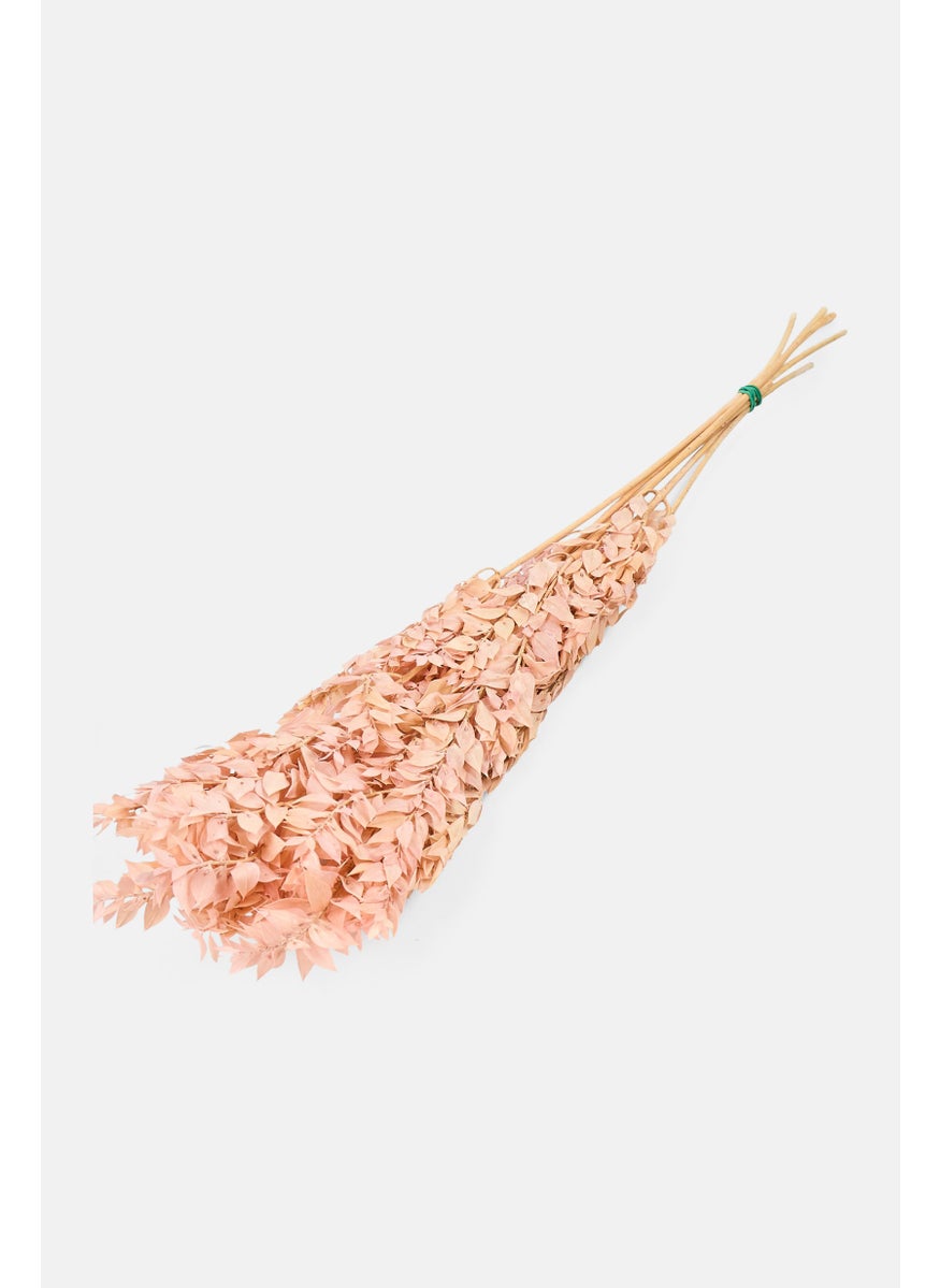 Muy Mucho Artificial Ruscus Press 70 CM , Pink  - Image 1