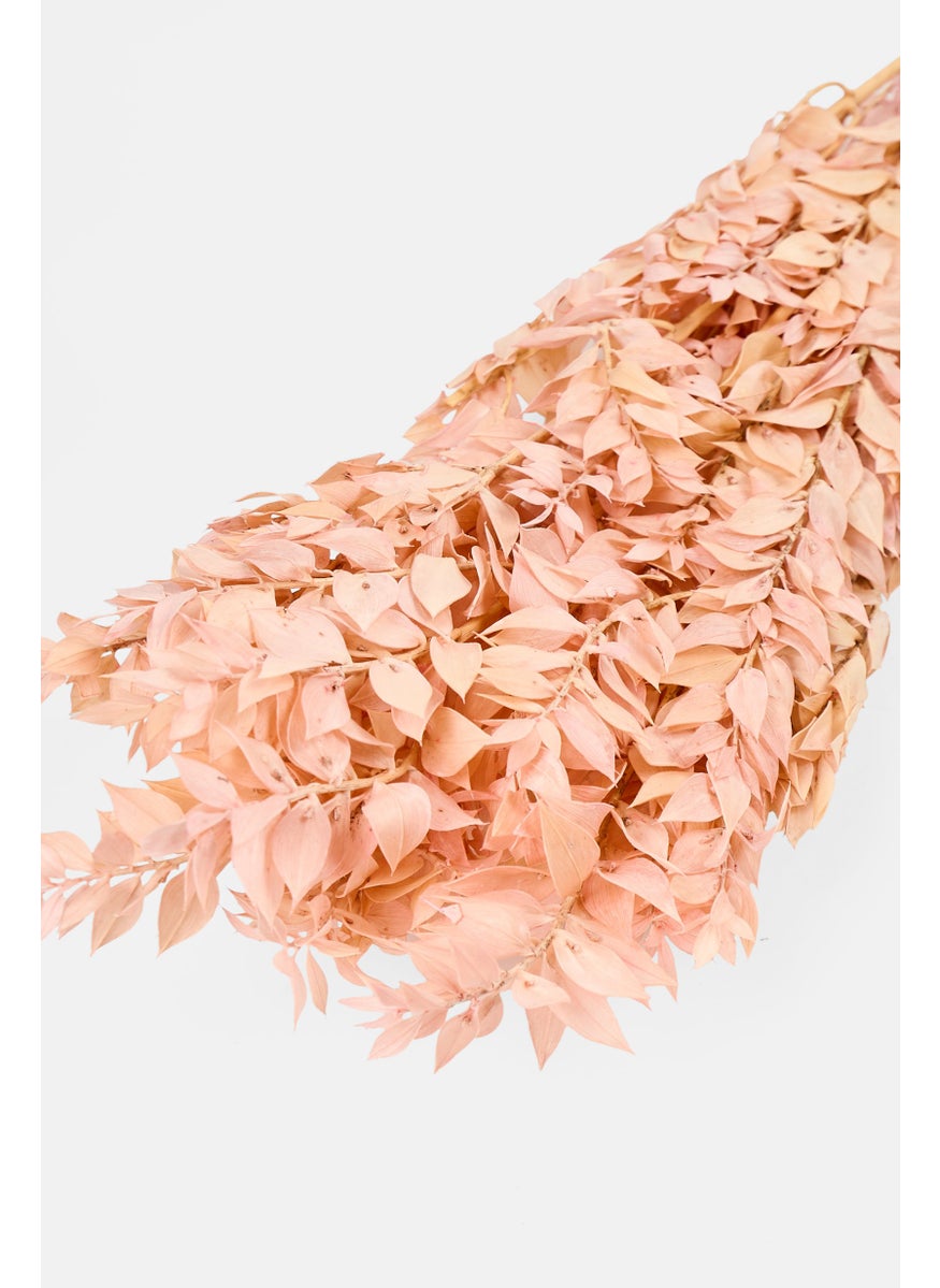 Muy Mucho Artificial Ruscus Press 70 CM , Pink  - Image 2
