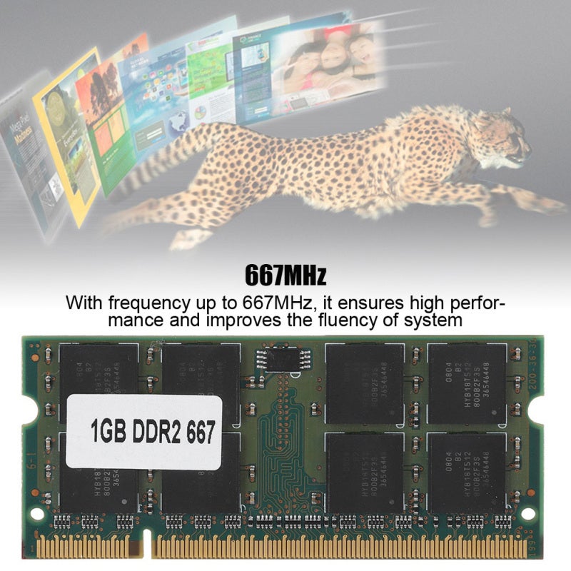 ذاكرة DDR2 لسطح المكتب بسرعة 667 ميجاهرتز وسعة 1 جيجابايت " - " ذاكرة RAM عالية الأداء PC2-5300 للوحات الأم من Intel و AMD - Image 3