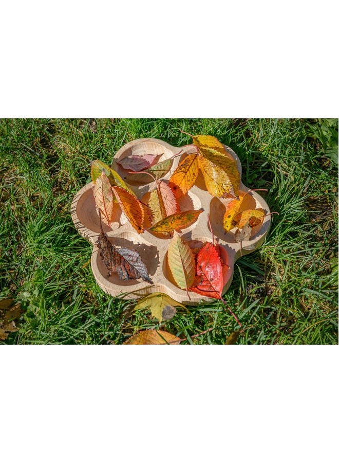 yellow door Natural Flower Tactile Tray, 6-Section - Image 4