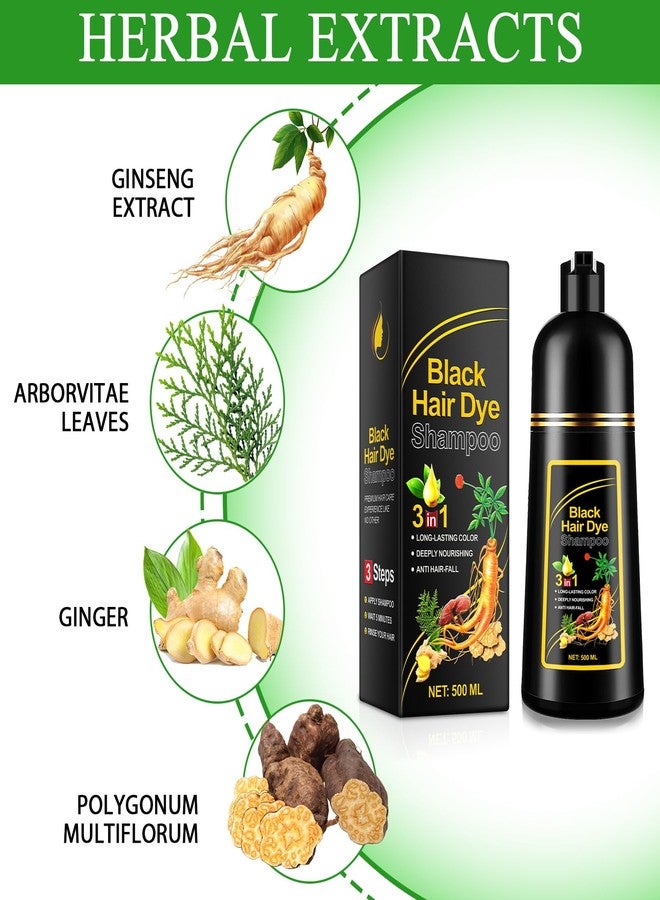 KITNOBLIS Black Hair Dye Shampoo 3 in 1 for Gray Hair, 500ML Color Shampoo for Women & Men, Covers Gray Hair, Color & Cleanse in One Step, At-Home Hair Coloring - Image 3