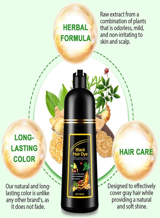 KITNOBLIS Black Hair Dye Shampoo 3 in 1 for Gray Hair, 500ML Color Shampoo for Women & Men, Covers Gray Hair, Color & Cleanse in One Step, At-Home Hair Coloring - Image 4