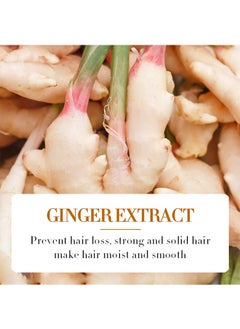 SADOER Ginger Anti-Hair Loss Treatment Essence，Ginger Hair Treatment Oil, Hair Growth Serum for Hair Loss, Deep Moisturizing Serum for Dry, Damaged & Coarse Hair, Strengthening Silky Hair Essential Oil Growth for All Hair Types 30ml  - Image 3