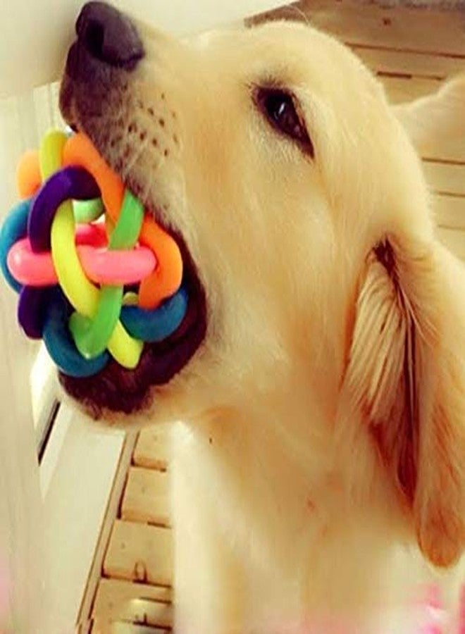 PETLICIOUS & MORE كرة صوتية بألوان قوس قزح من بيتليشوس آند مور مع جرس بالداخل (صغيرة) ولعبة مضغ للجرو (صغيرة) - عبوة من قطعتين - Image 3