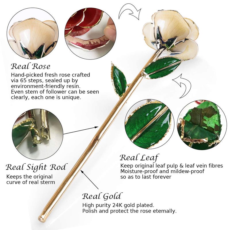 Sinvitron Gold Dipped Rose 24K Real Rose  Long Stem Gold Plated Rose with Stand Birthday Gifts for Her Gifts for Mom Golden Rose for Anniversary Valentines Day Mothers Day (Ivory White) - Image 3