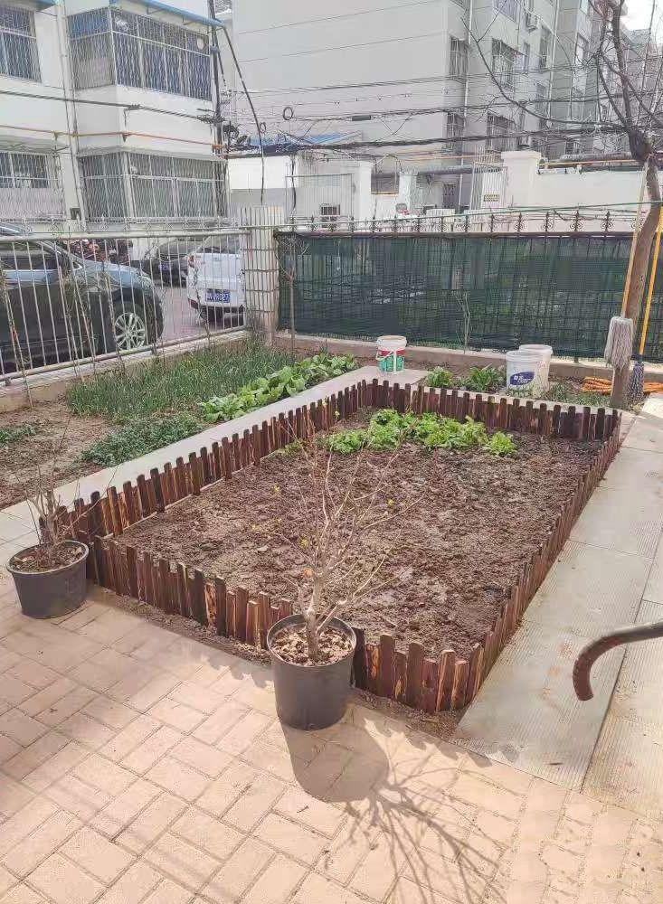 LINGWEI Decorative Wooden Garden Fence Interlocking Border Panels Garden Edging Landscape Picket Border Solid Fence Panels Carbonized Wood Lawn Patio Fencing Barrier - Image 5