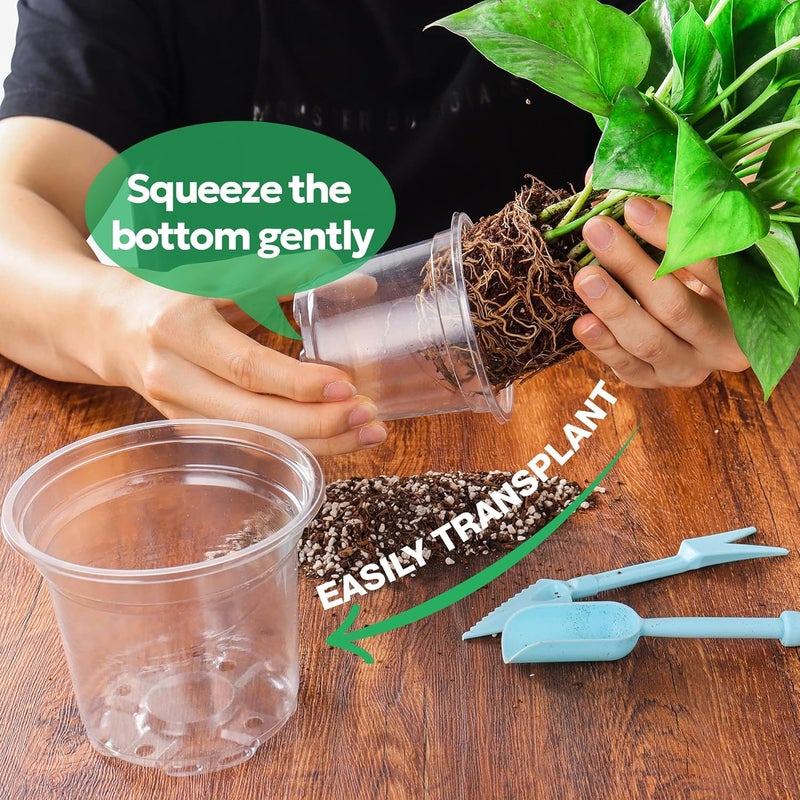 Bluepro 30 Packs 5 Inch Reinforced Clear Nursery Pots with Drainage Hole, Transparent Variety Pack Plastic Plant Pot Seedling Planter Seed Starter Flower - Image 5