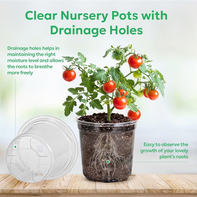 Bluepro 30 Packs 5 Inch Reinforced Clear Nursery Pots with Drainage Hole, Transparent Variety Pack Plastic Plant Pot Seedling Planter Seed Starter Flower - Image 3