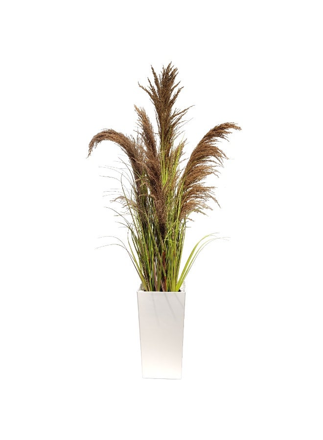 MirageBotanics Natural Pampas Grass with Tall White Planter Reed Grass Plant,Faux Plants Artificial Plants  Flowers in Pot Fake Plant  Home Office Decor (150cm) - Image 1
