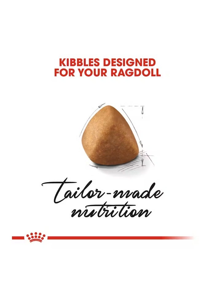 رويال كانين غذاء رويال كانين للقطط من سلالات راجدول للبالغين 2 كجم - Image 4