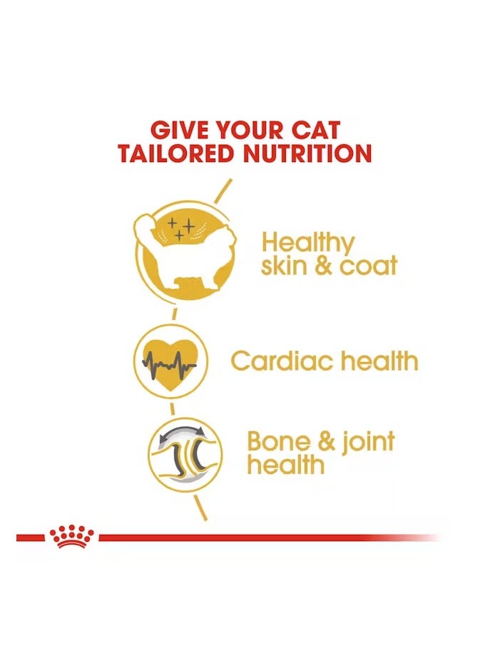 رويال كانين غذاء رويال كانين للقطط من سلالات راجدول للبالغين 2 كجم - Image 5