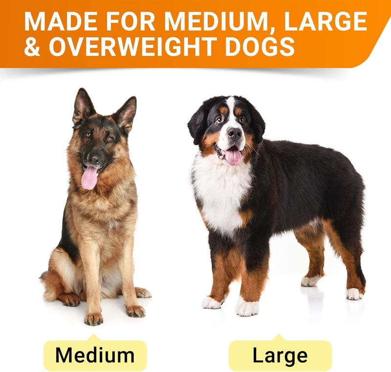 StrellaLab Senior Advanced Glucosamine Chondroitin Joint Supplement for Dogs - Hip & Joint Pain Relief Pills - Large & Small Breed - Hip Joint Chews Canine Joint Health - Chews Older Dogs - Bacon Flavor - 360Ct - Image 2