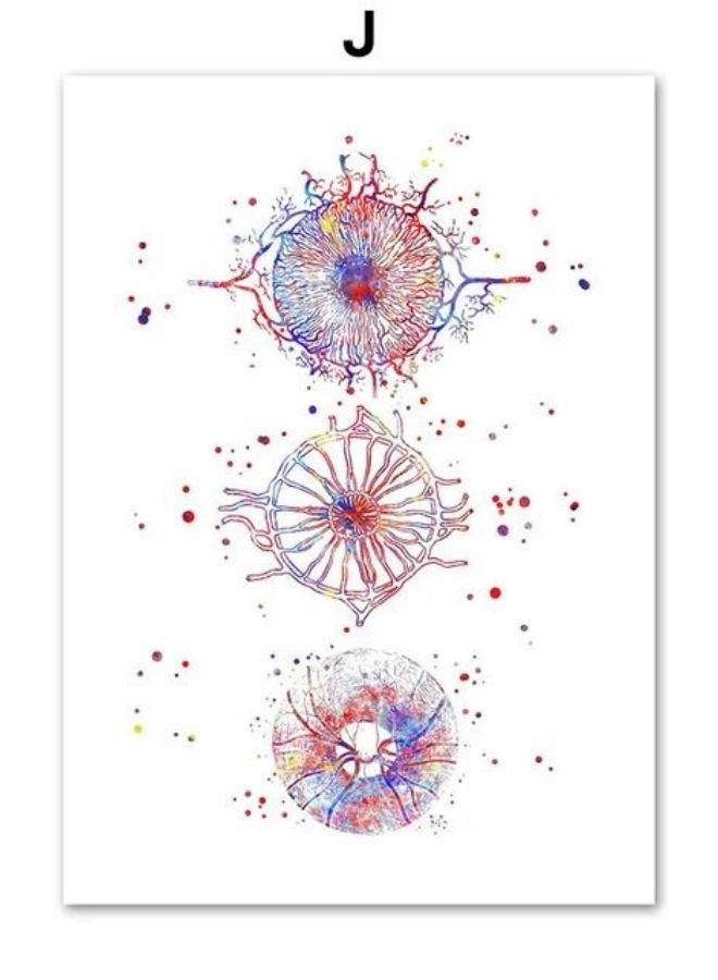 Ophthalmologist Optician Eye Anatomy Wall Art Canvas Painting Abstract Posters And Prints Wall Pictures For Doctor Office Decor - Image 1