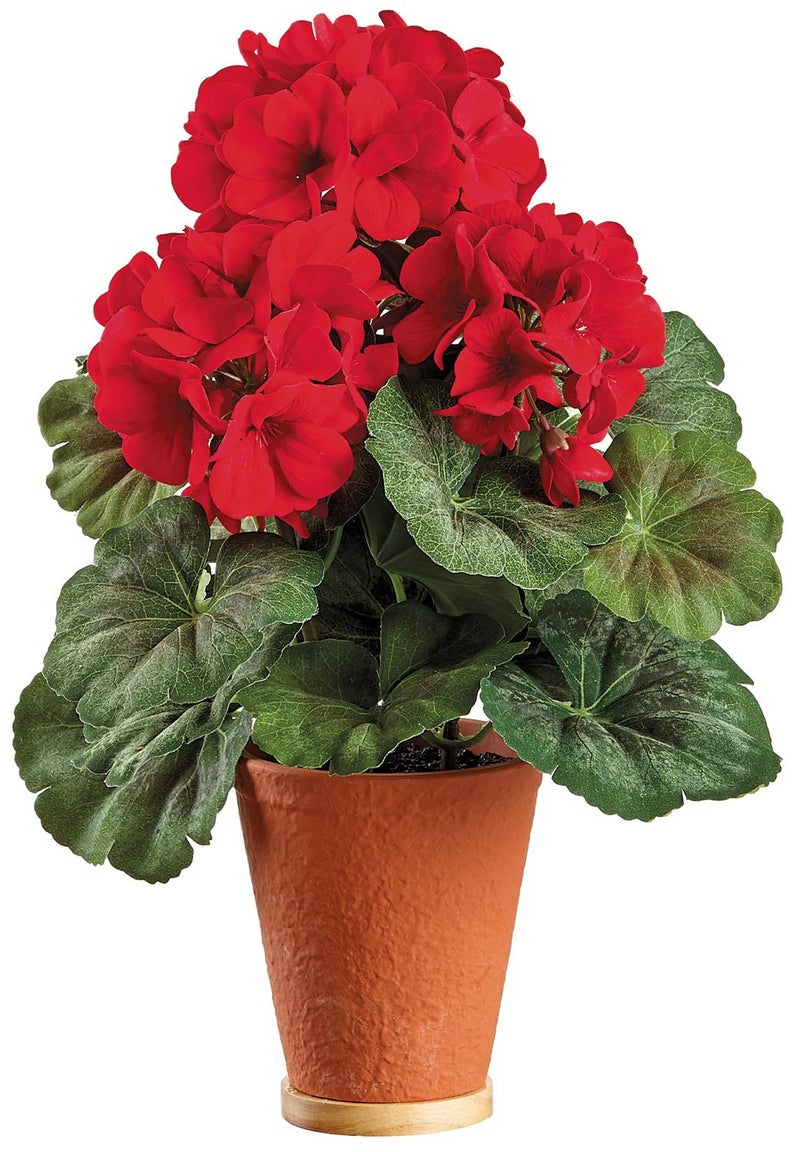 TenWaterloo UV Protected Artificial Red Geranium Plant in Terracotta Pot 135 Inch High Indoor and Outdoor Use 