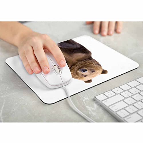 Pehede Mouse pad with Anti-Slip Rubber Base, Easy Gliding,Computer Mouse Mat for Computers, Laptop, Gaming, Office & Home, 7.9 * 9.5 in,Brown Bear Welcomes Waves A Paw - Image 5