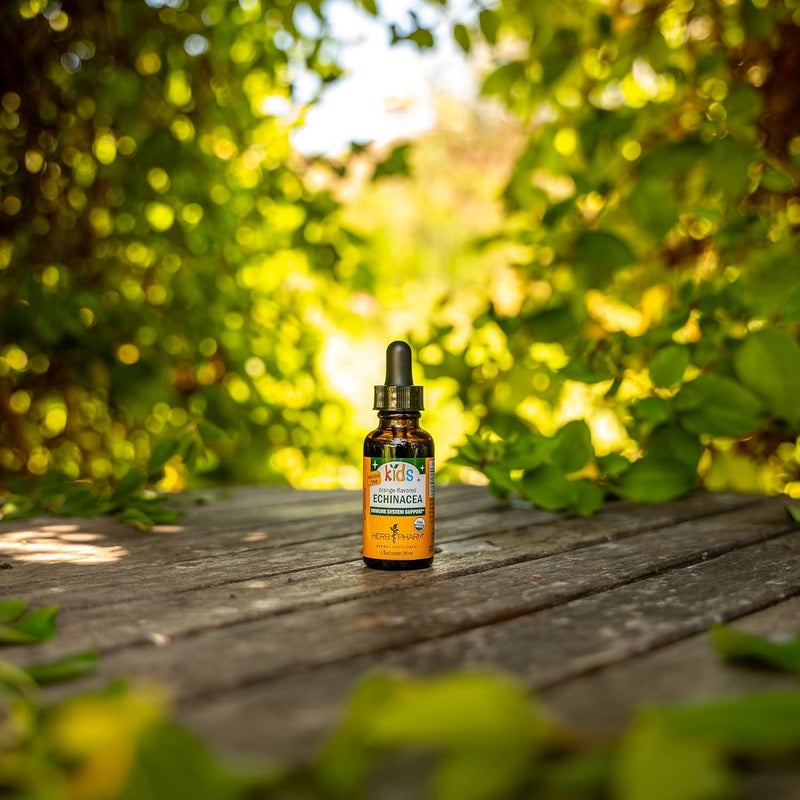 Herb Pharm Kids Echinacea Liquid Supplement - Image 4