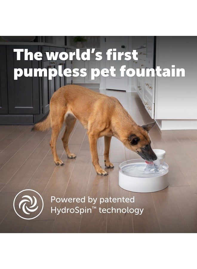PetSafe Outlast Pumpless Dog Water Fountain 128 oz - Indoor Water Dispenser for Dogs and Multiple Cats - Dishwasher Safe, Easy Assembly and Cleaning, Water Filter Included - Image 2