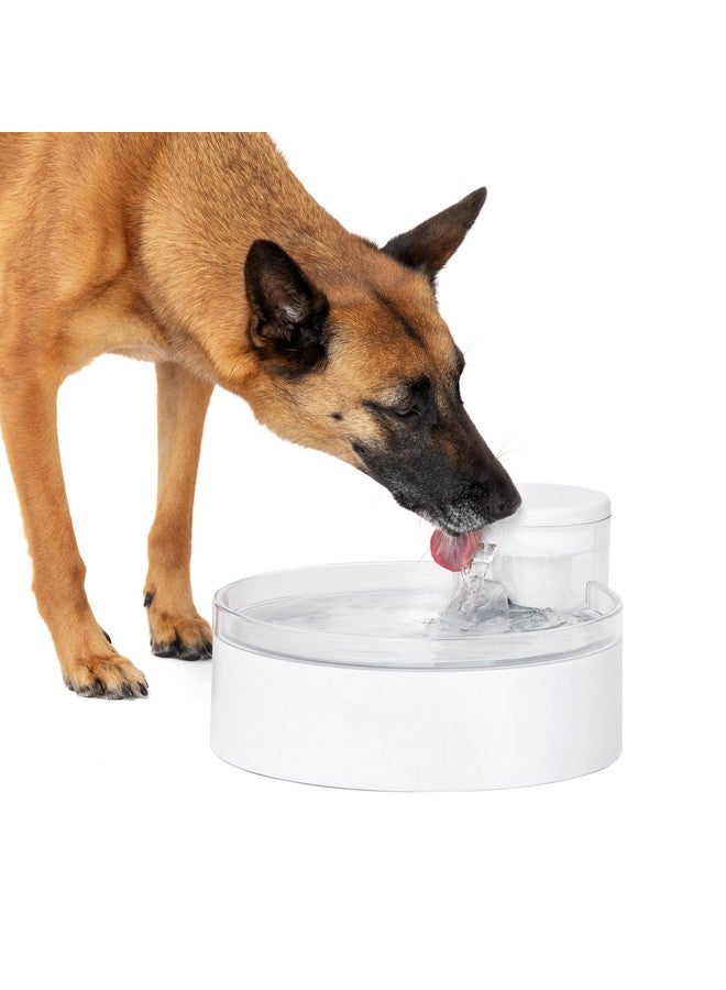 PetSafe Outlast Pumpless Dog Water Fountain 128 oz - Indoor Water Dispenser for Dogs and Multiple Cats - Dishwasher Safe, Easy Assembly and Cleaning, Water Filter Included - Image 1