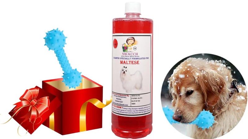 swacch Maltese Dog Shampoo + Dumbbell Toy I Durable Rubber Dog Toy for Chewing I Playing,Teeth Cleaning & Training Toy I Combo Pack I 1 Litre Jasmine - Image 1