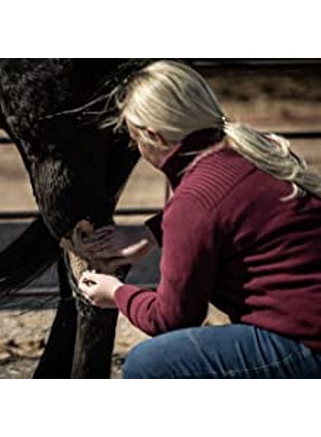 Redmond Red Edge Equine Poultice, Natural Soothing Clay for All Horse Breeds, 8.5lb Bucket - Image 3