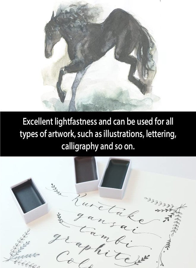 Zig Kuretake Gansai Tambi 6 Color Set-Deep Graphite -MC20GR6V - Image 4