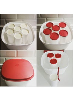 Tupperware Yogurt Maker 6 Cups + 6 Spoons Enjoy Making Yogurt  - Image 4