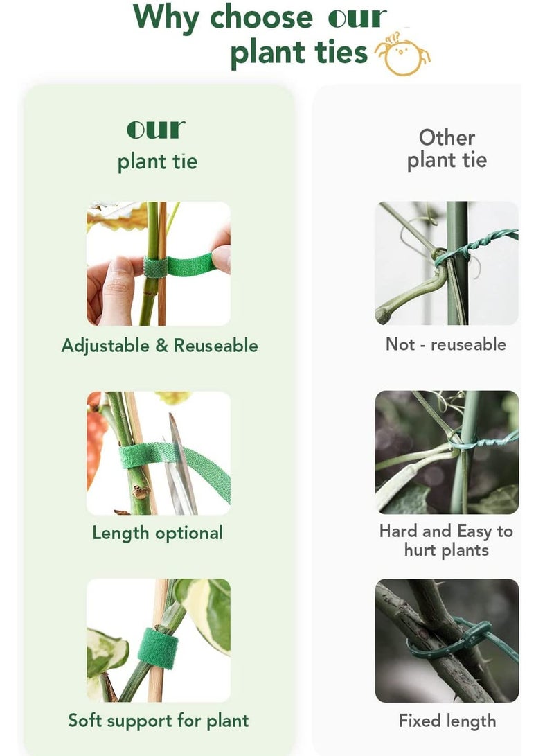 Barakah Plant Ties, Garden Tape for Plant, Reusable Adjustable Thicker Support Growing Strong Grip, Tomato Vines Tree Fixed Rope Indoor Outdoor, 125 x 1.2cm, 1 roll, Green - Image 4