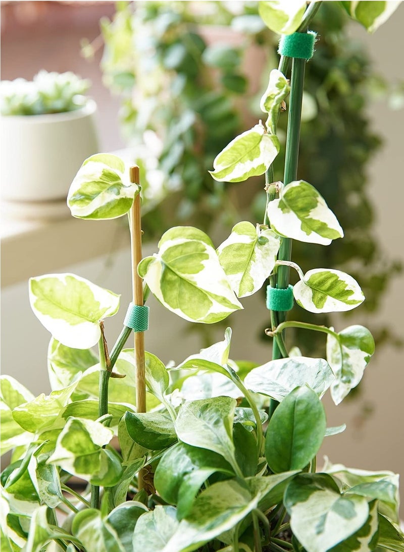 Barakah Plant Ties, Garden Tape for Plant, Reusable Adjustable Thicker Support Growing Strong Grip, Tomato Vines Tree Fixed Rope Indoor Outdoor, 125 x 1.2cm, 1 roll, Green - Image 5