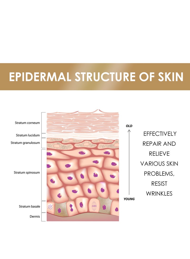 إيلهو سيروم توهج تصحيح البقع الداكنة ، مصل النياسيناميد للوجه ، مصل حمض الهيالورونيك ، مزيل التصبغ ، مصل الوجه للنساء ، ترطيب عميق ، مضاد للشيخوخة وتقليص التجاعيد 100 مل - Image 3