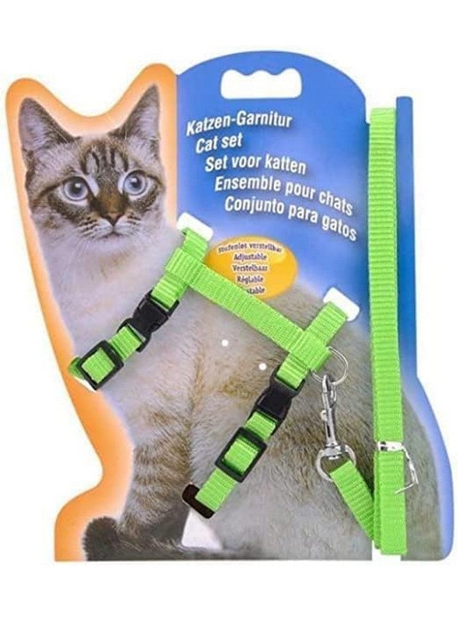 حزام نايلون مطبوع مع مقود وخطاف قابل للتعديل ومجموعة حزام الجسم للقطط والقطط الصغيرة للمشي والتدريب في الهواء الطلق (اللون حسب التوافر) - Image 2