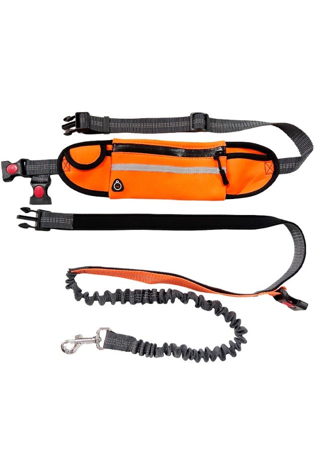 Hands Free Elastic Dog Waist Leash for Running & Walking