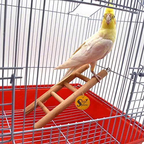 Sage Square Playful Natural Wooden Climbing Ladder Toy for Exercise & Fun, with Hooks, for Birds, Parrot, Budgies and Other Small, Medium Large Bird (Design 3) - Image 4