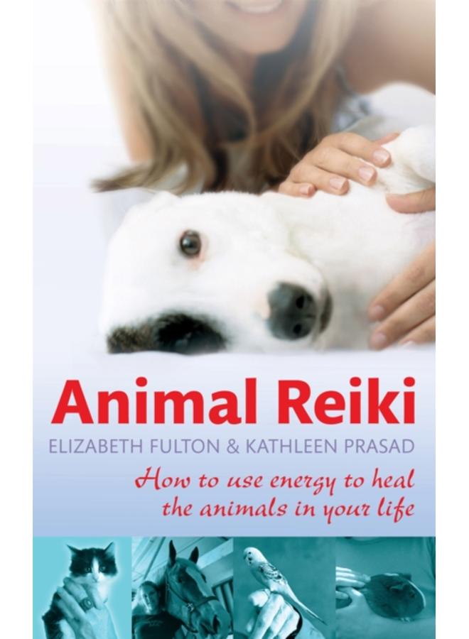 Animal Reiki : How to use energy to heal the animals in your life 