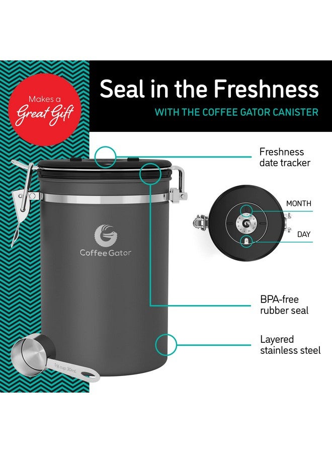 Coffee Gator Coffee Canister - 22oz, Airtight Stainless Steel Kitchen Food Storage Container with Date Tracker, Scoop for Grounds Coffee Bar Accessories, Beans, Tea, Sugar, Flour, Cereal - Silver - Image 2