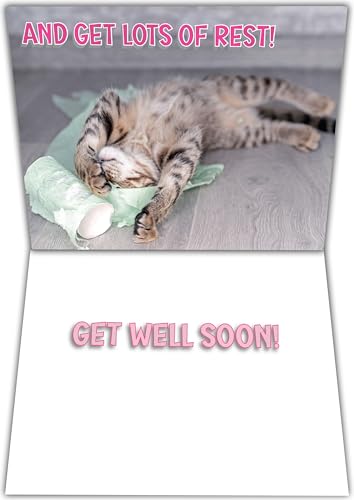 Glory To Dog Remember to Drink Plenty of Fluids (Cat Version) and Get Lots of Rest! Get Well Soon! Card with Greeting Card Envelope - Image 2