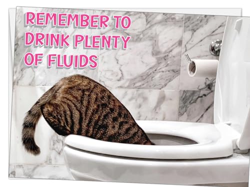 Glory To Dog Remember to Drink Plenty of Fluids (Cat Version) and Get Lots of Rest! Get Well Soon! Card with Greeting Card Envelope - Image 1