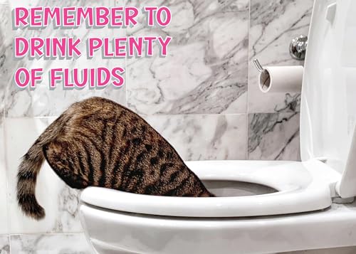 Glory To Dog Remember to Drink Plenty of Fluids (Cat Version) and Get Lots of Rest! Get Well Soon! Card with Greeting Card Envelope - Image 5